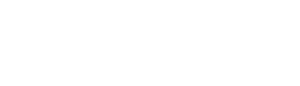 Dr. Enzo Zanini – Ortopedico a Bologna